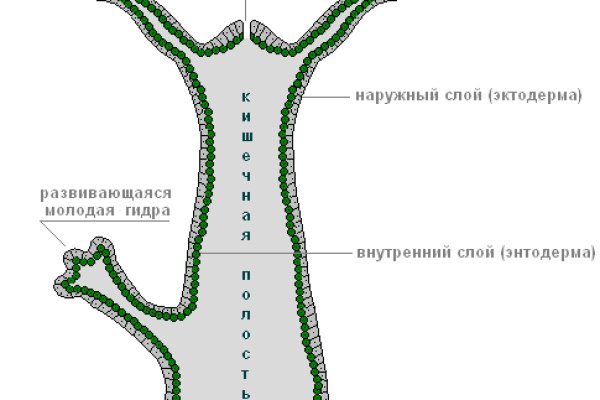 Кракен ссылки krakenwebs org