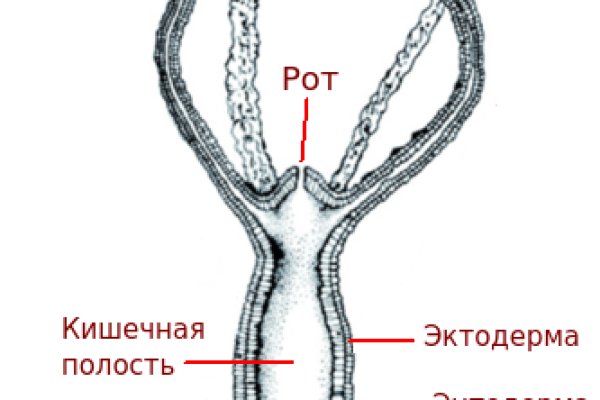 Кракен даркнет зеркало