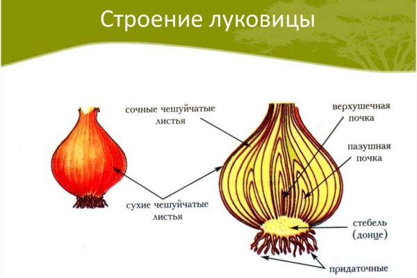 Кракен наркокортель